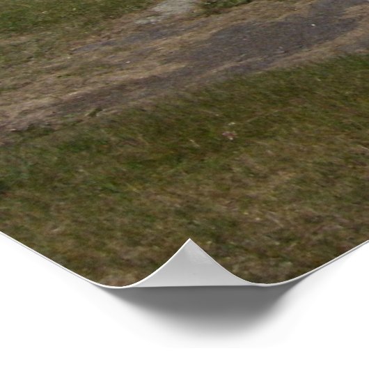 Monhegan Poster (Hoek)