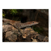 Moniteur de l'arbre localisé (Devant horizontal)