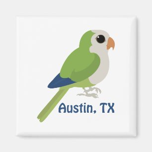 Monk Paraket -Austin, Texas Magneet
