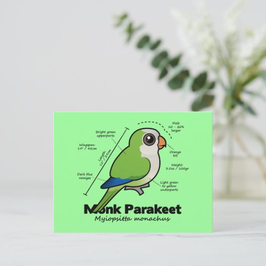 Monk Paraket Statistics Briefkaart (Staand voorkant)