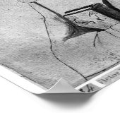 Monk uit het Album van de Vallardi Poster (Hoek)