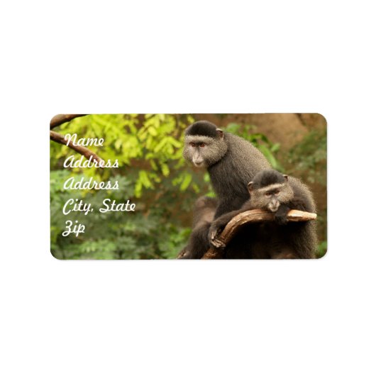 Monkey Address Sticker (Voorkant)