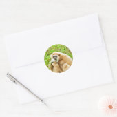 Monkey Animal Foto Ronde Sticker (Envelop)
