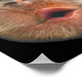 Monkey Blowing Stomach Face  Poster (Hoek)