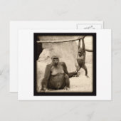 Monkey Business Briefkaart (Voorkant / Achterkant)