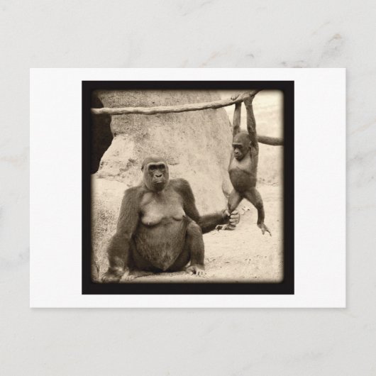 Monkey Business Briefkaart (Voorkant)