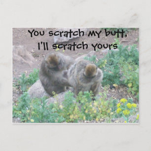 Monkey Business Briefkaart