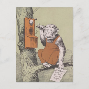 "Monkey Business Call" Briefkaart