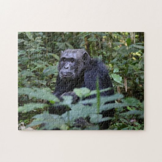 Monkey Business Legpuzzel (Horizontaal)