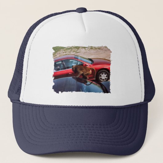 Monkey Business Trucker Pet (Voorkant)
