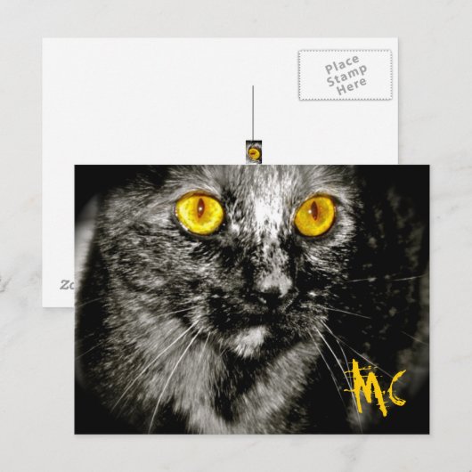 Monkey Cat Briefkaart (Voorkant / Achterkant)