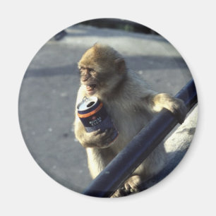 Monkey Drink Probleem Magnet Magneet