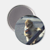 Monkey Drink Probleemmagneet Magneet (Voorkant / Achterkant)