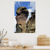 Monkey Face Poster (Keuken)