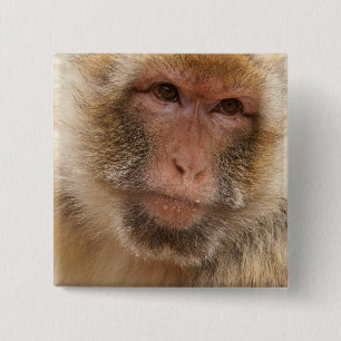 Monkey Face Square Pin Vierkante Button 5,1 Cm