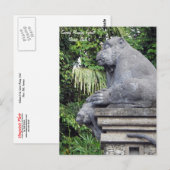 Monkey Forest Briefkaart (Voorkant / Achterkant)