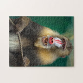 Monkey Foto Best Wildlife Photos Legpuzzel (Horizontaal)
