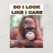 MONKEY FUN BRIEFKAART (Voorkant)