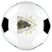 Monkey Geometry Voetbal (Gedraaid)