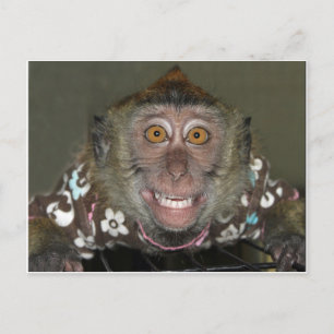 Monkey glimlachen briefkaart