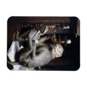 Monkey glimlachen magneet (Horizontaal)