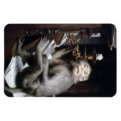 Monkey glimlachen magneet (Horizontaal)