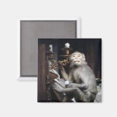 Monkey glimlachen magneet (Voorkant / Achterkant)