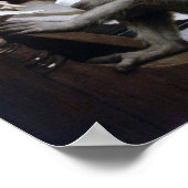 Monkey glimlachen poster (Hoek)