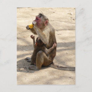 Monkey - Ik wil ook iets Briefkaart