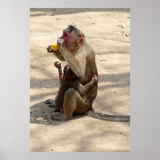 Monkey - Ik wil ook iets Poster (Voorkant)