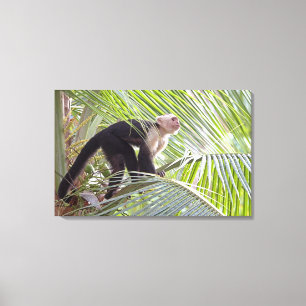 Monkey in Bamboo Oerwoud Foto Canvas Afdruk
