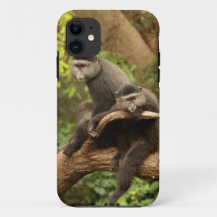 Monkey iPhone 5 11 Hoesje