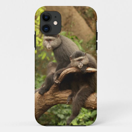 Monkey iPhone 5 Case-Mate iPhone Case (Achterkant)