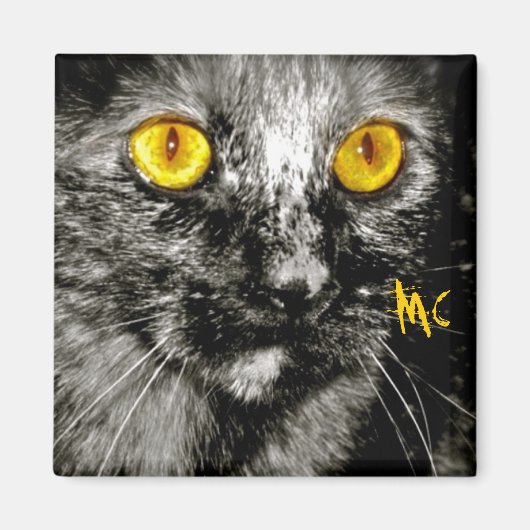 Monkey kat magneet (Voorkant)