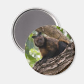 Monkey magnet magneet (Voorkant / Achterkant)