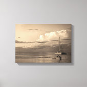 Monkey Mia Canvas Afdruk (Voorkant)