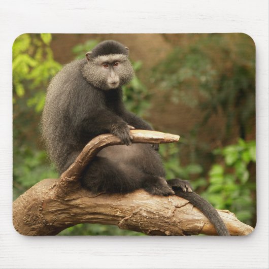Monkey Mousepad Muismat (Voorkant)