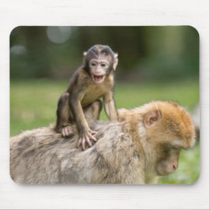 Monkey Mousepad Muismat