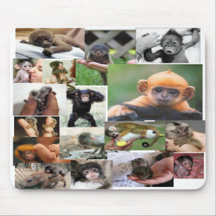 Monkey Mousepad Muismat