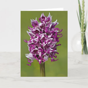 Monkey Orchid - Wenskaart Kaart