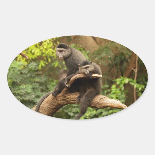 Monkey Oval Sticker (Voorkant)