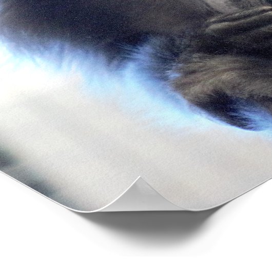 Monkey Photo Poster (Hoek)