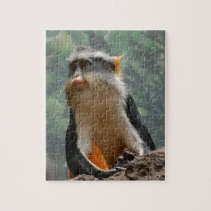 Monkey Portret Puzzle Legpuzzel