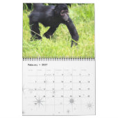 Monkey Primate Vine Welkom Home Destiny's Kalender (Feb 2027)