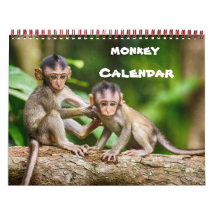 Monkey Primate Vine Welkom Home Destiny's Kalender
