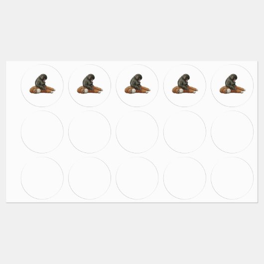 Monkey Punch, Baby Monkey Orangutan Hug Labels (Vel)