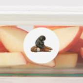 Monkey Punch, Baby Monkey Orangutan Hug Labels (Aangebracht)