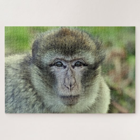 Monkey puzzel legpuzzel (Horizontaal)