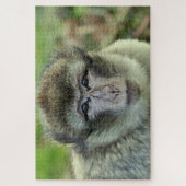 Monkey puzzel legpuzzel (Verticaal)