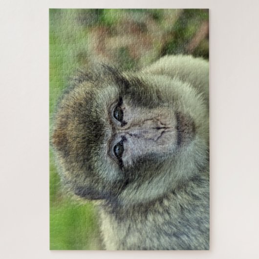 Monkey puzzel legpuzzel (Verticaal)